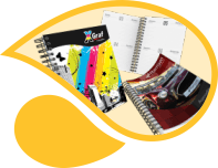 Produtos editoriais